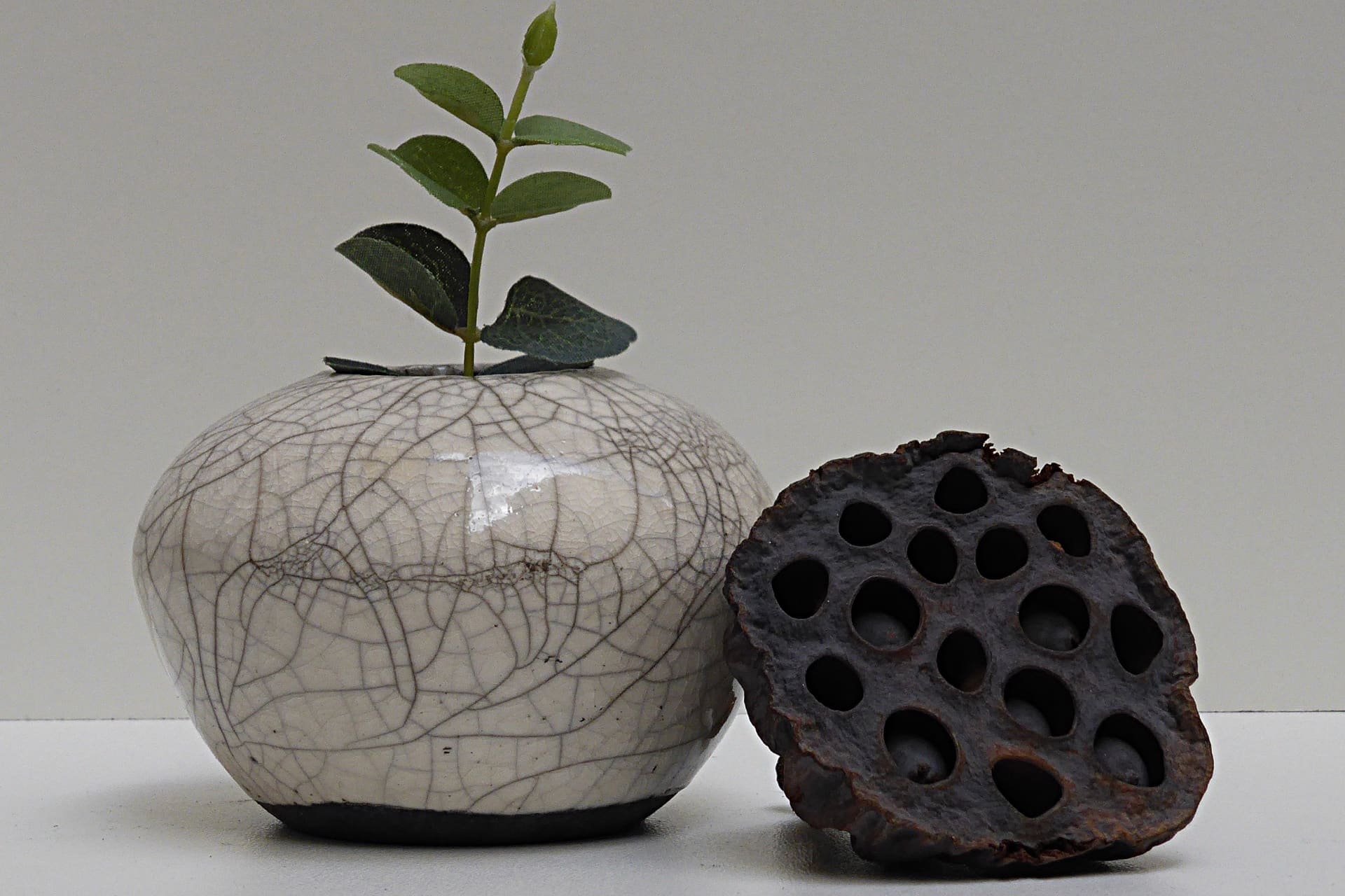 Soliflore par Creattitudes