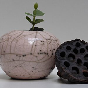 Soliflore raku 04
